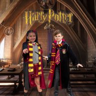 disfraz harry potter y hermione - griffindor - dia del libro - cuentos clasicos  _ nino y nina